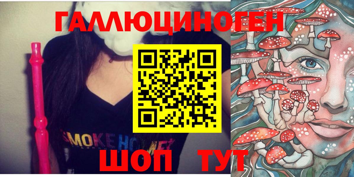 Псилоцибиновые грибы Cubensis Орёл