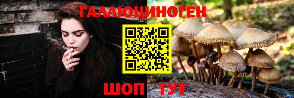 купить  цена  Галлюциногенные грибы мухоморы  Вход с VPN  Орёл 